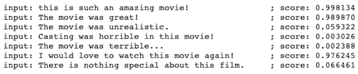 Model Tested with custom movie reviews